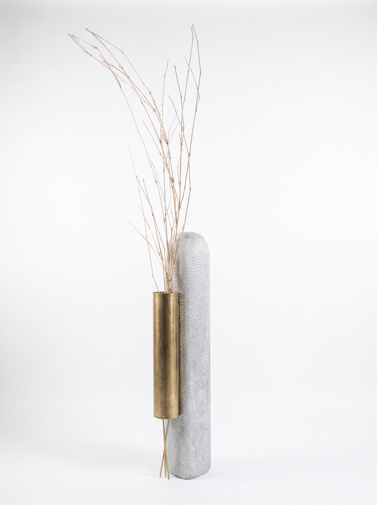 LIGNA 02