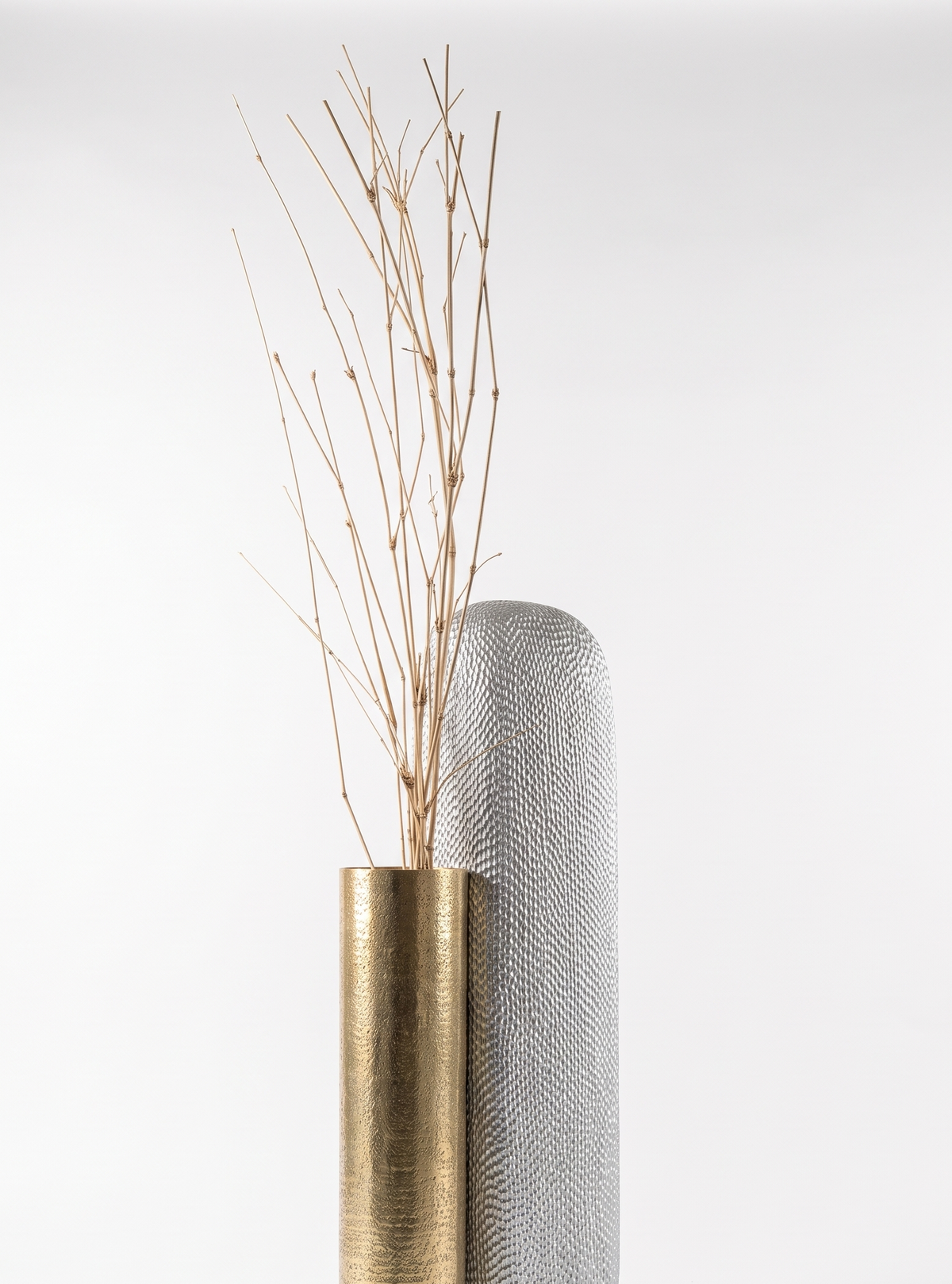 LIGNA 02