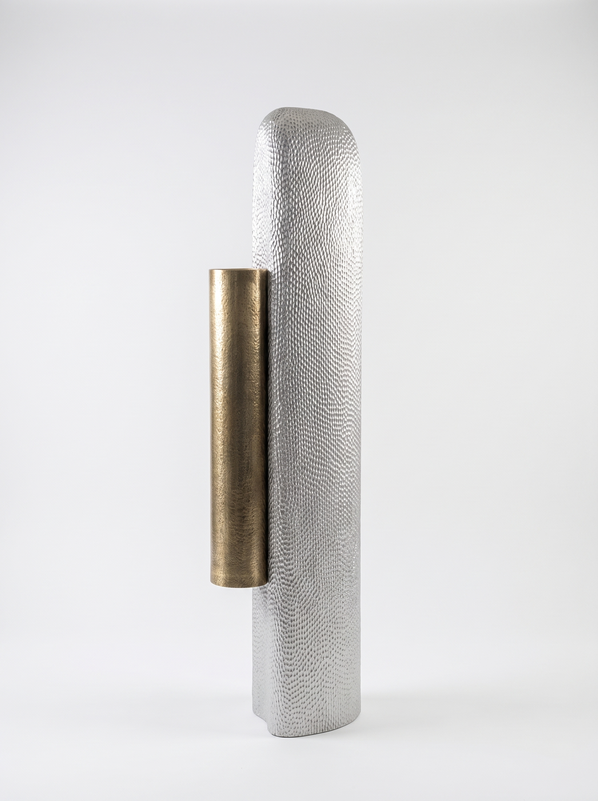 LIGNA 02